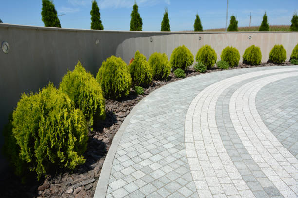 Best Paver Driveway Replacement  in Meadows Place, TX
